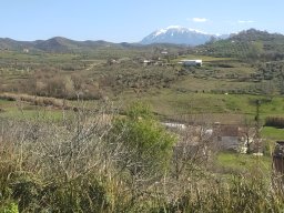 Vers_Elbasan