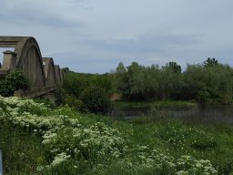 Le_long_du_Danube