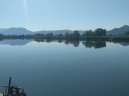 Ploce