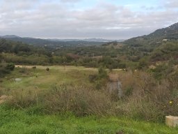 Italie &raquo; Sardaigne &raquo; Olbia