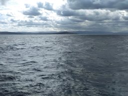 sta_teresa20251206_130103