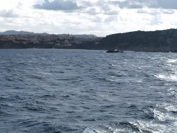 sta_teresa20251206_131214