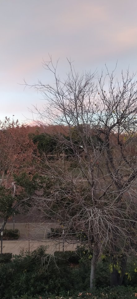 De Catania à Taormina