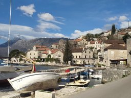 Kotor